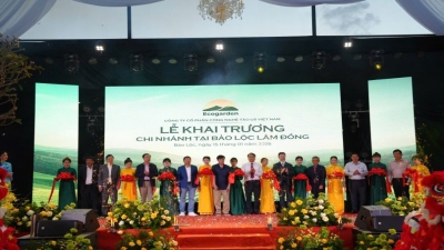 Lâm Đồng ứng dụng công nghệ vi sinh xanh vào sản xuất tảo xoắn quy mô lớn